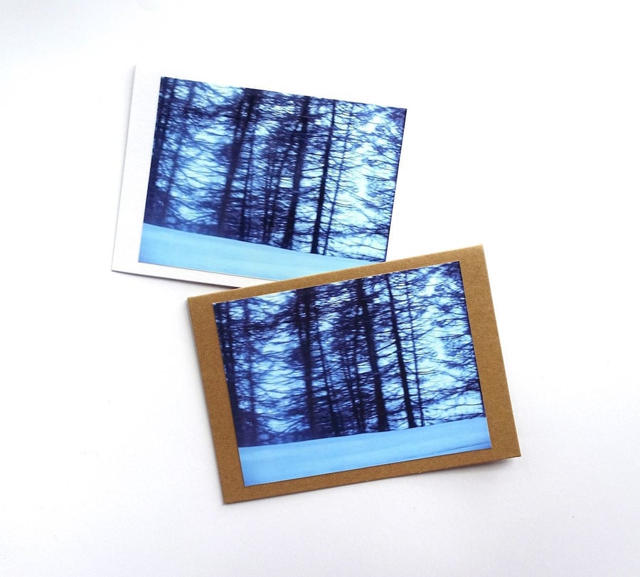 Blue Forest Cards - READY TO SHIP