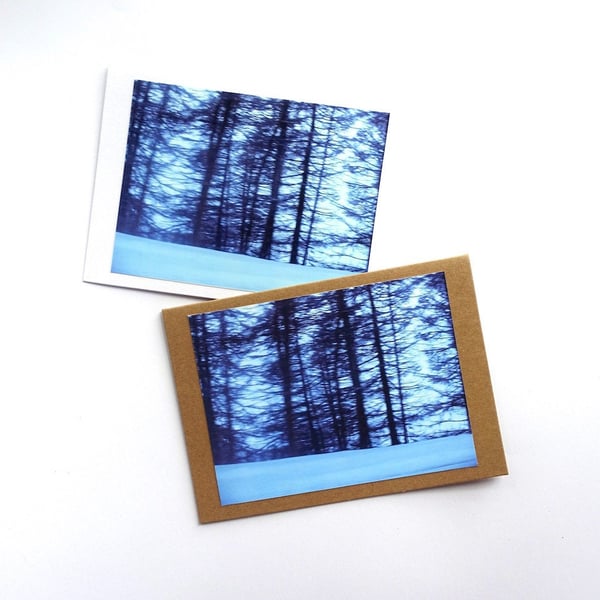 Blue Forest Cards - READY TO SHIP