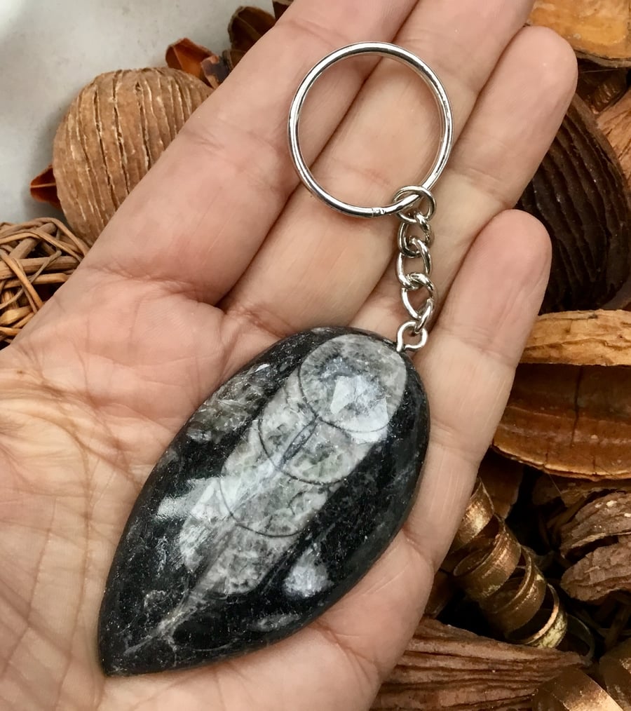Large Beautuful Orthoceras Fossil Specimen Keyring or Handbag Charm.