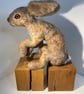Large needle felted hare - made to order! - Image 4