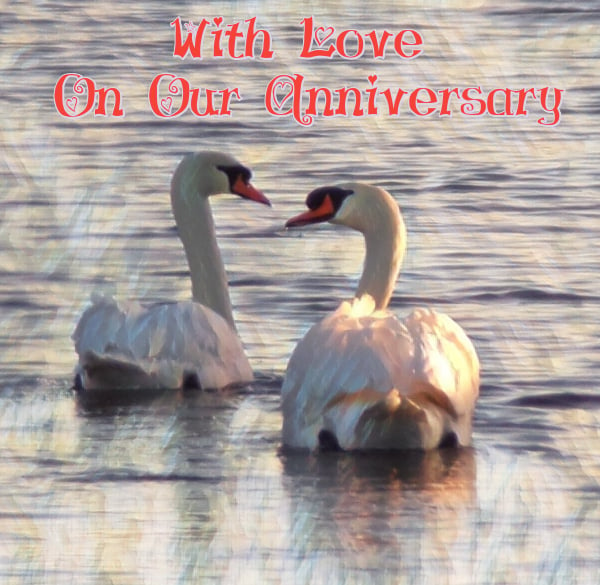 With Love On Our Anniversary Swan Card A5 