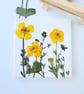 Real Pressed Buttercups Miniature Botanical Canvas on Wooden Easel - Image 5
