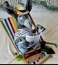 Joseph Bray Retired Beach Donkey 