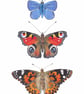 Butterfly Collection A5 Digital Print - Image 1