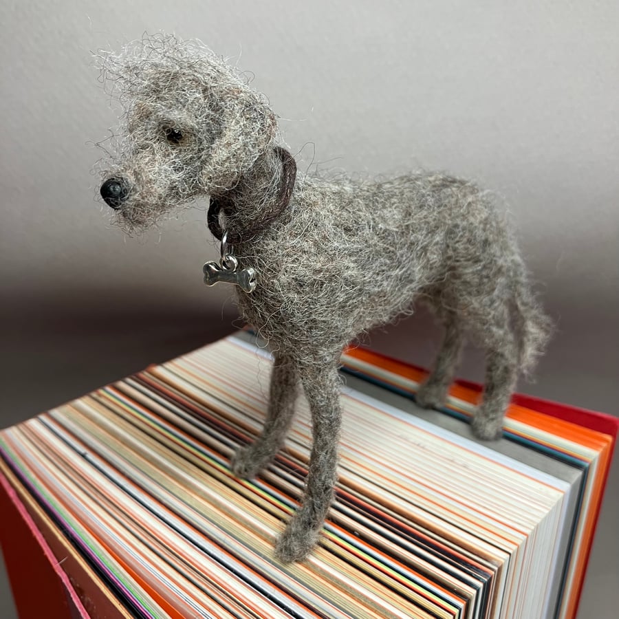Woolly Dog Model Bedlington Whippet cross