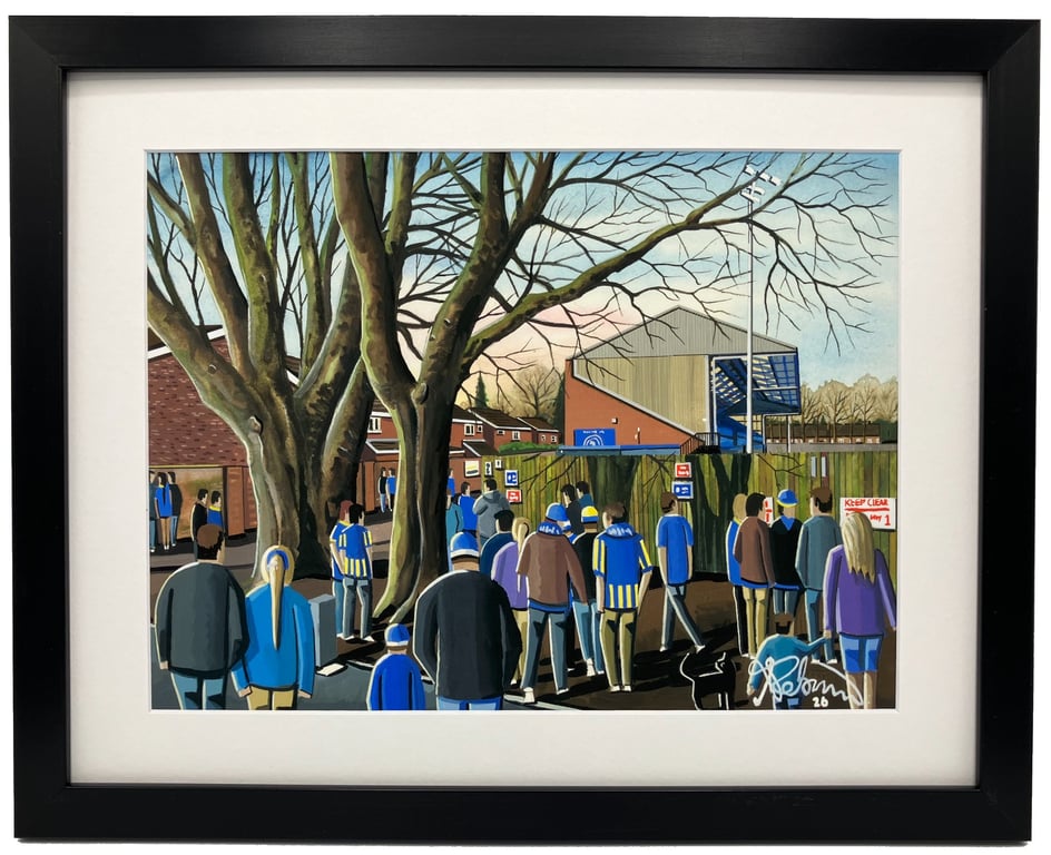 KIngs Lynn. Framed & Unframed Fine Art Print Town Football Club FC, Stadium Gift