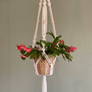 Large Boho Style Macrame Plant Hanger in Natural - Design Sample