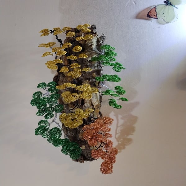 Cascading multiple bonsai trees on cork bark 