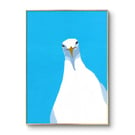 Seagull Print - Curious Seagull - Originally Painted in Acrylics