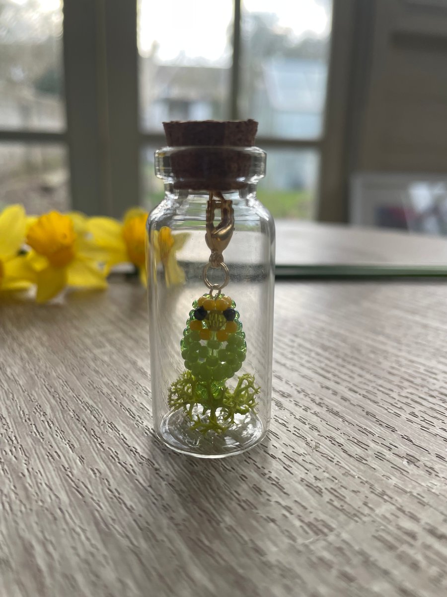 Little budgie (yellow & green) in the bottle 
