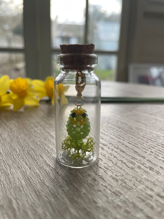Little budgie (yellow & green) in the bottle 