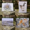or 3 for £5 cards for all occasions