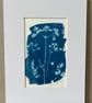 Original ready-mounted cyanotype print of meadow plants