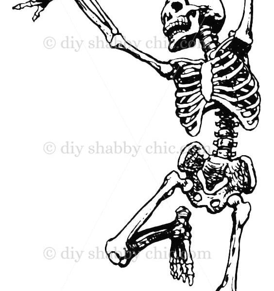Waterslide Furniture Decal Vintage Image Transfer Shabby Chic Dancing Skeleton