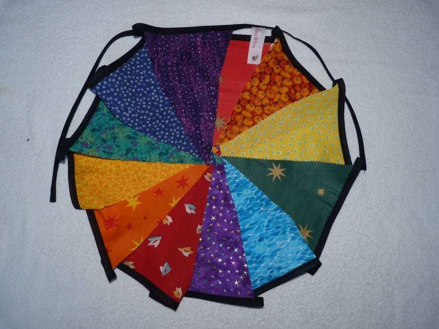 Rainbow Bunting