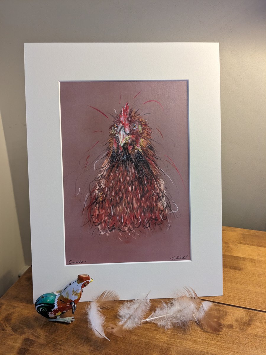 Groucho the Rescue Hen, an A4 mounted signed print