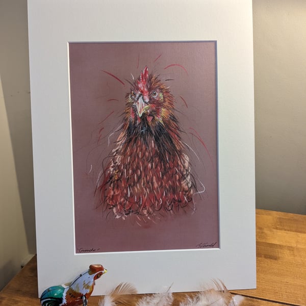 Groucho the Rescue Hen, an A4 mounted signed print