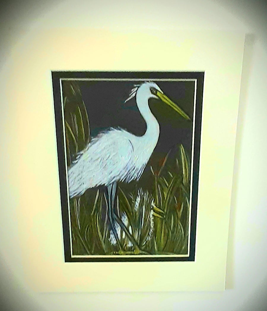 "Little Egret and baby Egret "  mounted drawing 