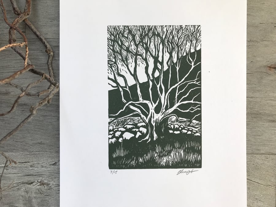 The Old Tree: Original hand printed lino cut by Suffolk printmaker Beth Knight