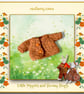 Little Nippers and Bunny Hugs Orange Cardigan