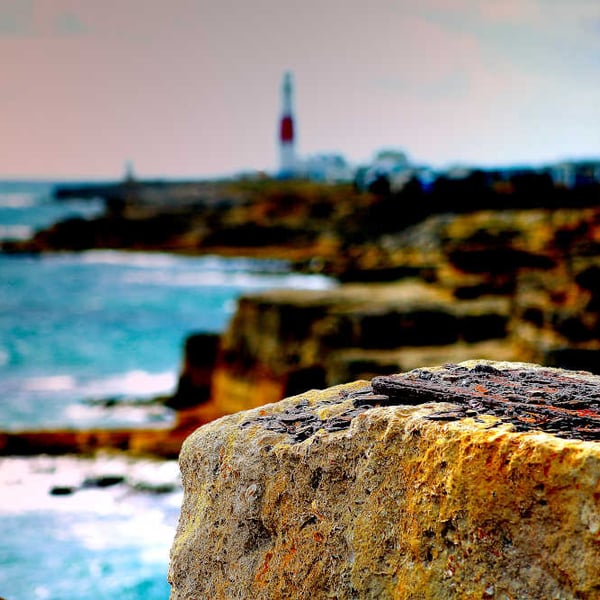 Picture Portland Bill, Dorset photo print