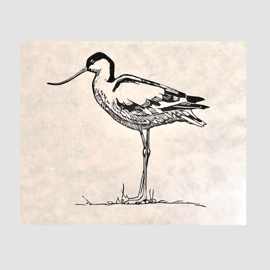 Avocet Linocut Print