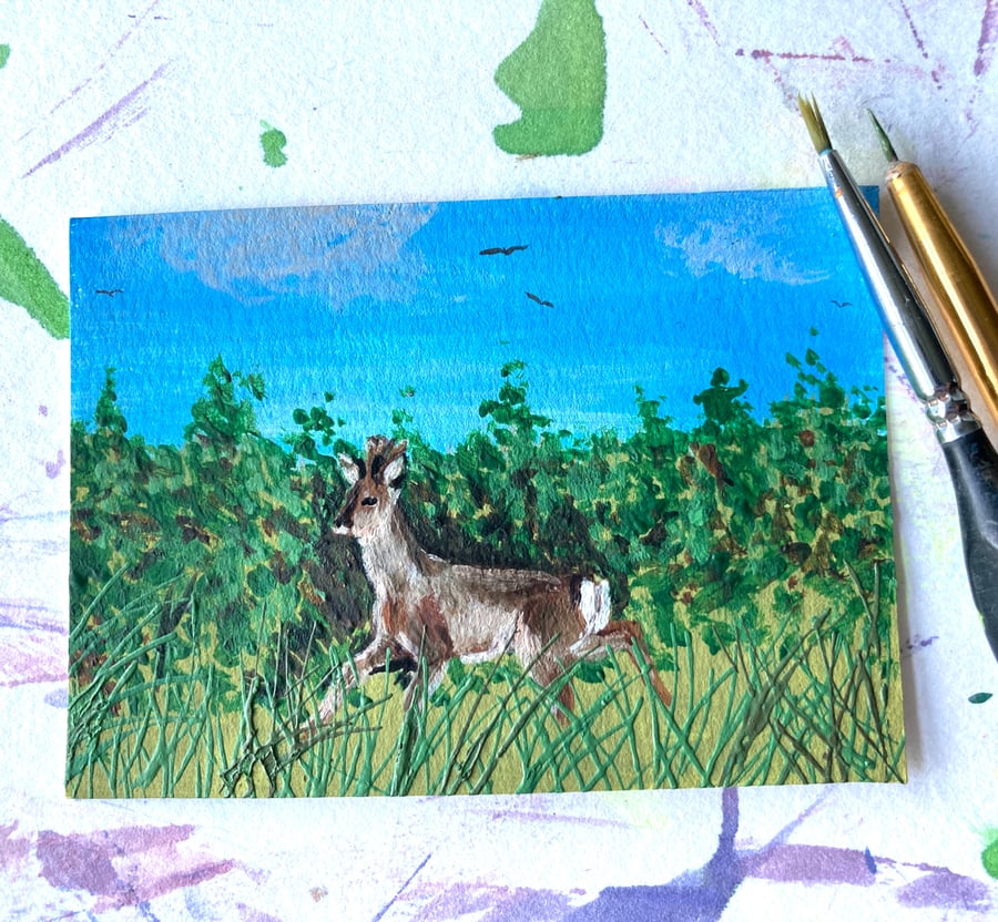 Roe Buck ACEO miniature painting 