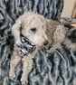 Scrunchie Dog Bandana Grey Camo Cotton Pet Accessory Scarf