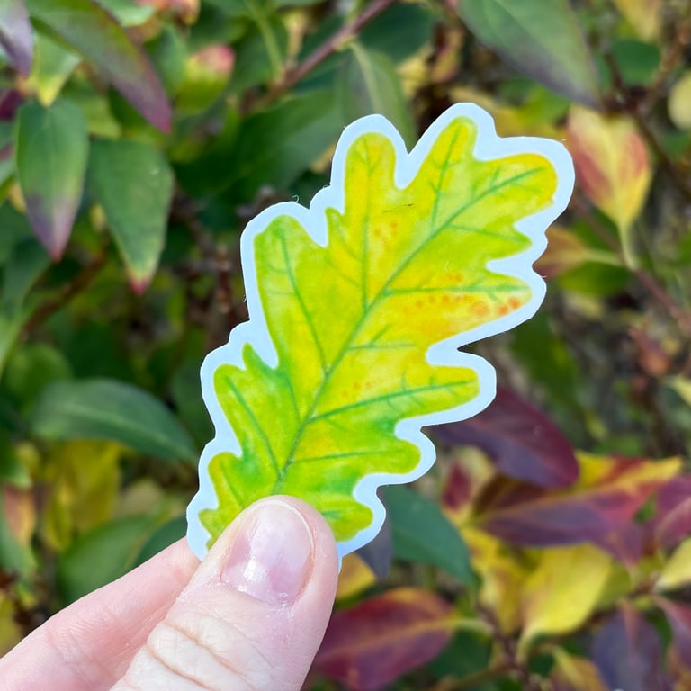 Green Oak Leaf Sticker