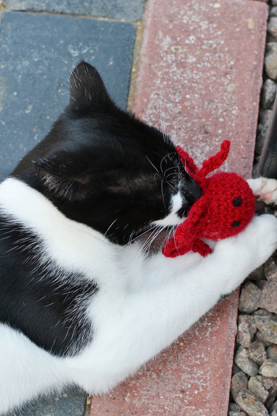 Catnip Crochet Octopus, New Cats Gift, Cats Mouse