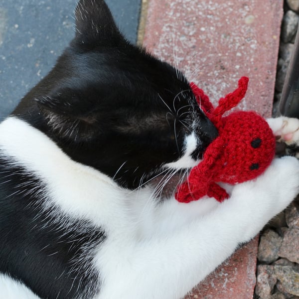 Catnip Crochet Octopus, New Cats Gift, Cats Mouse