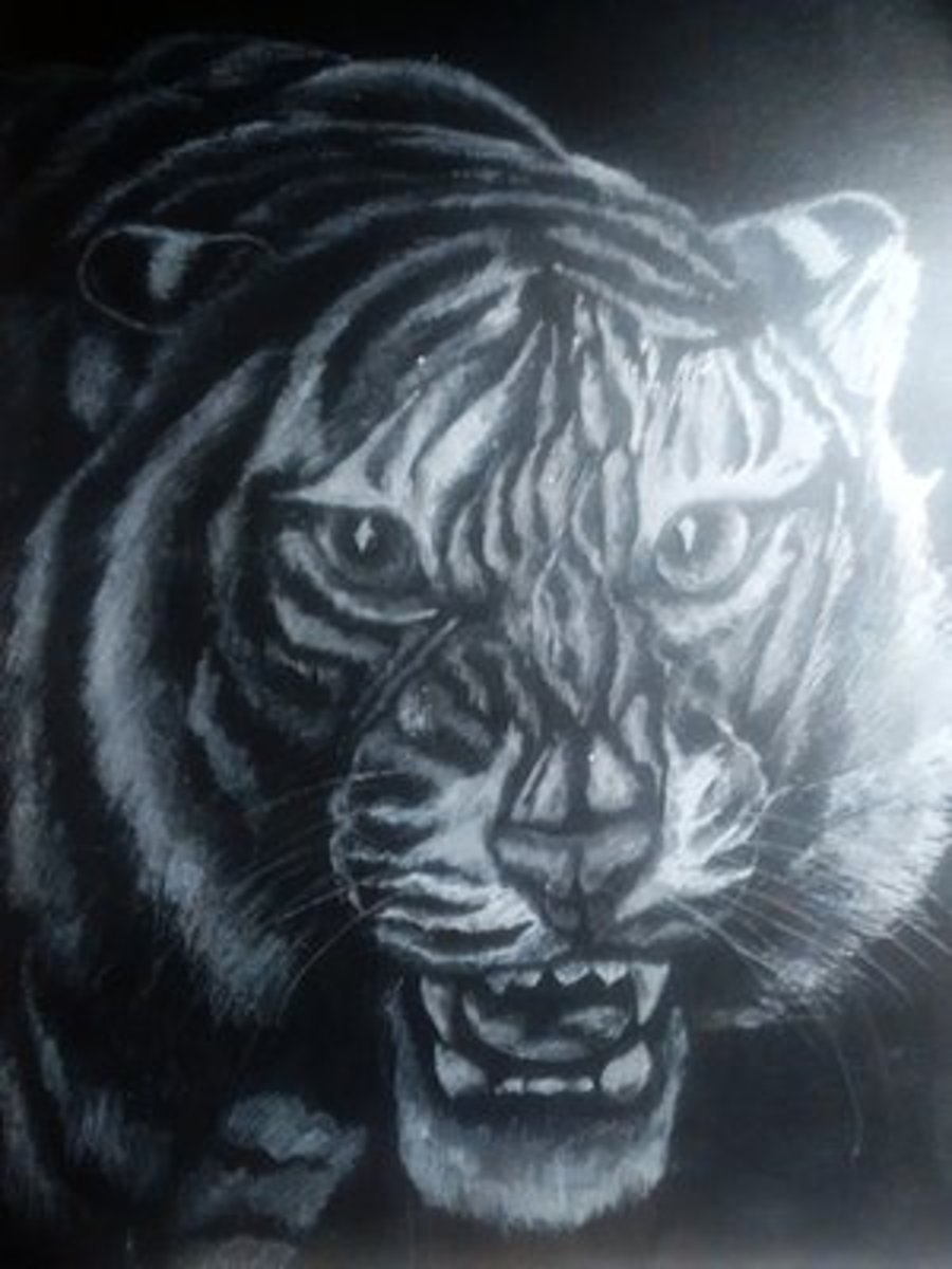 Tiger engraving on a glass panel 