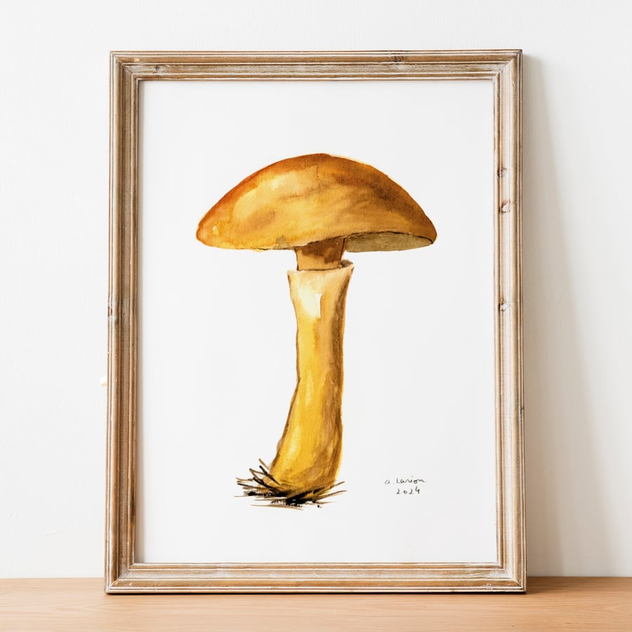 Larch Bolete A5 Inkjet Print
