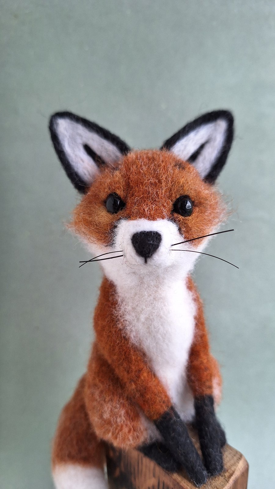 Coral - Sitting Fox on Whisky Stave