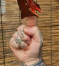Dragon Finger puppet Brown - Image 3