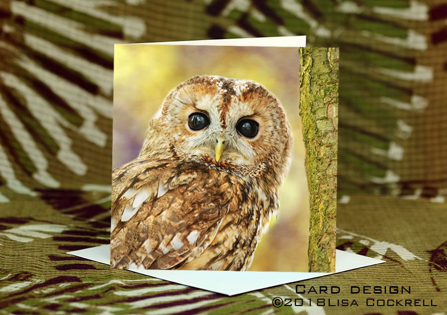 Exclusive Handmade Owl Greetings Card on Archive Photo Paper