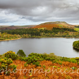 Photograph - Sheeps Tor, Dartmoor, Devon -  Limited Edition Signed Print