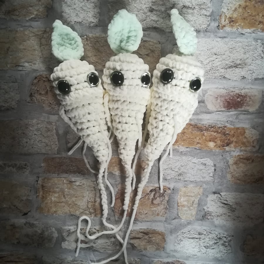 Jumbo Snowdrop Mandrake Seedling