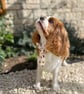 Dog Necktie - Autumn Trees - 5 Sizes Easy Tie On - Image 3