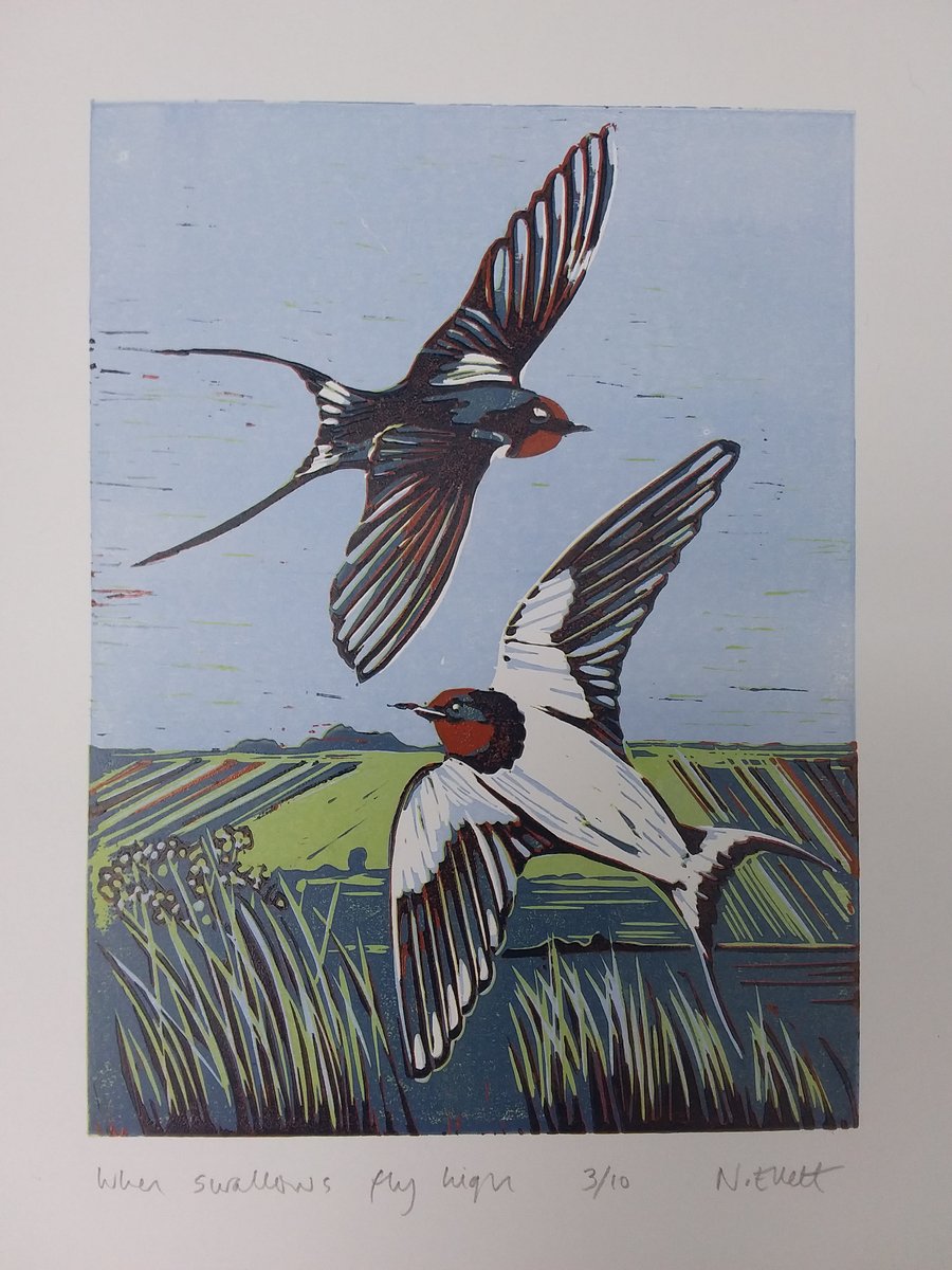 When swallows fly high - linoprint