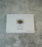 Raphael Turtle Blank Greetings Card Printed from Original Art - Image 3