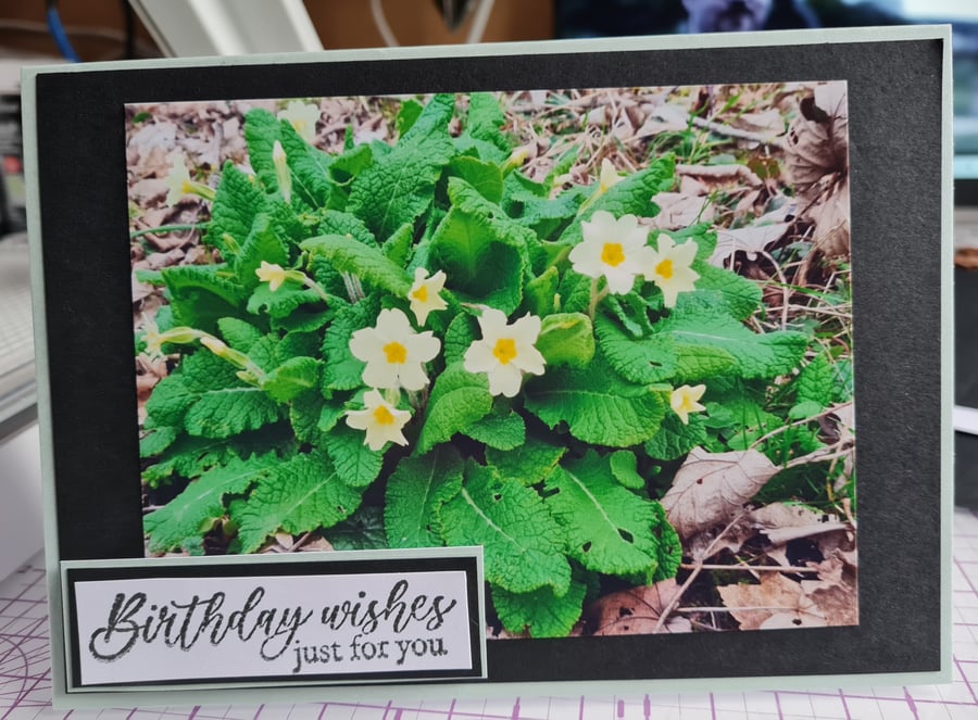 Primrose Birthday Card 