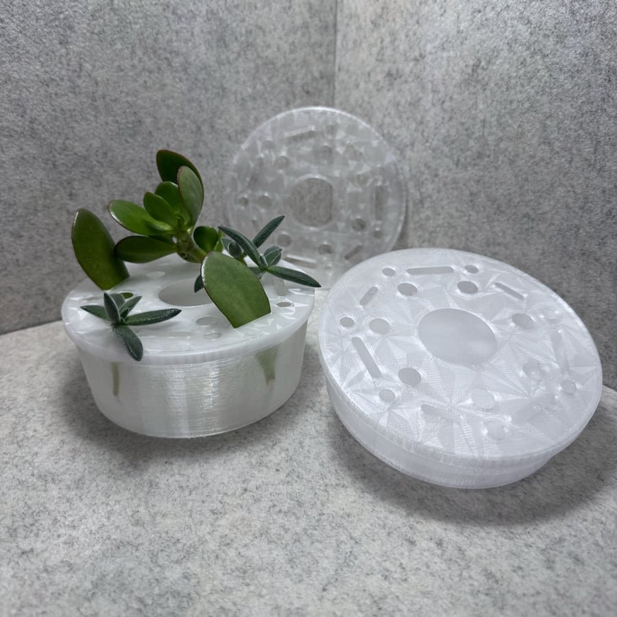 Plant Cutting Propagator