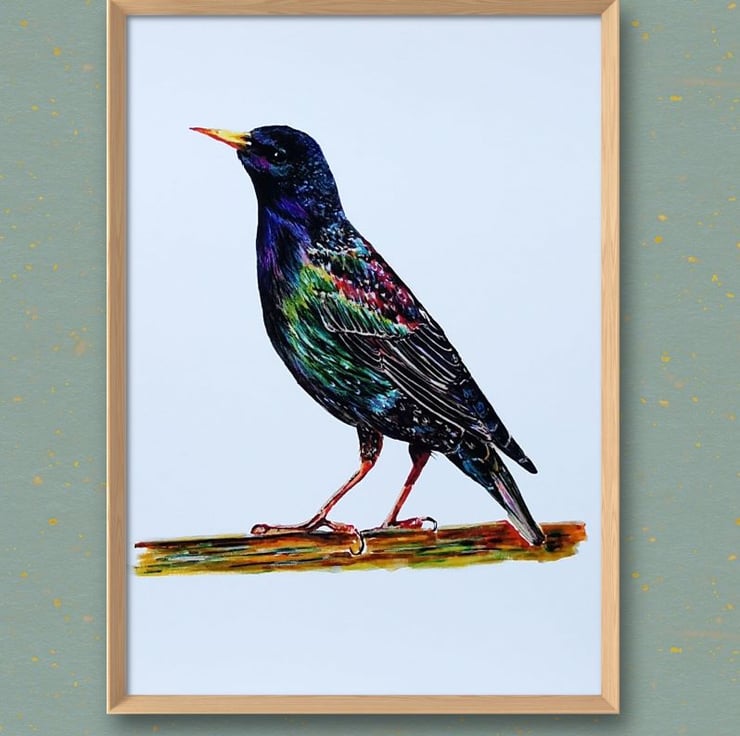 Illustration on Folksy