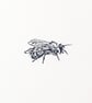 Original Indigo Bee Lino Print