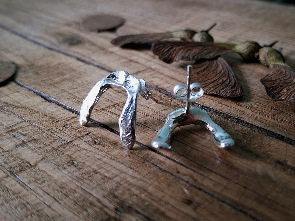 Real Sycamore Seeds - Silver Stud Earrings
