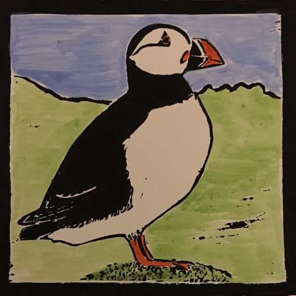 Puffin