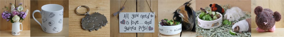 Everything Guinea Pig 