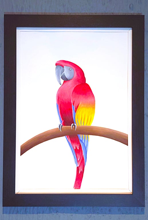 Handmade Unique Framed A3 Print Colourful Macau Parrot White Border Wallart