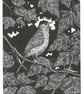 Blackcap - Image 1